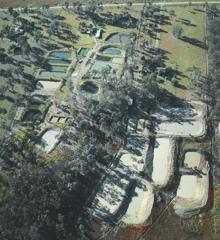 Kel Gordon Silver Perch & Fish Farm Construction