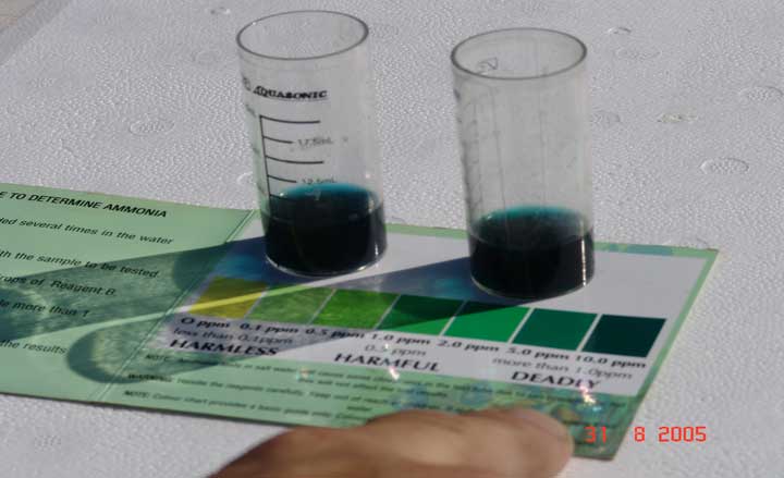 Water Quality Testing