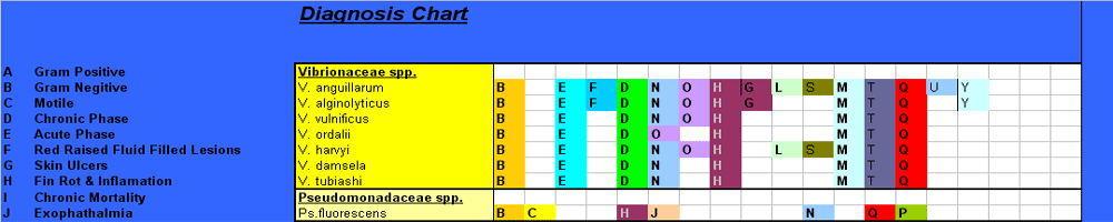 Bacterial Disease Diagnosis Chart