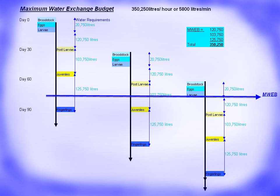 max water budget