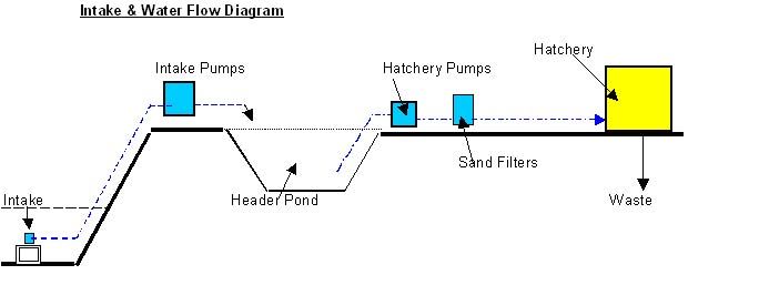 Managing water flow patterns and tank spin - Hatchery International