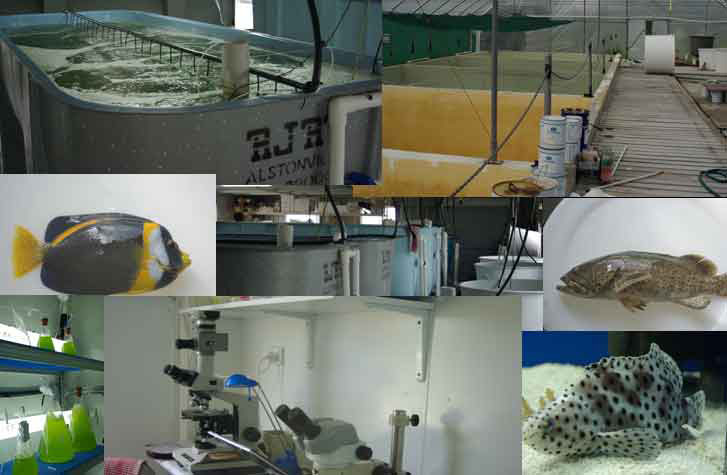 Aquafarmer Training Program