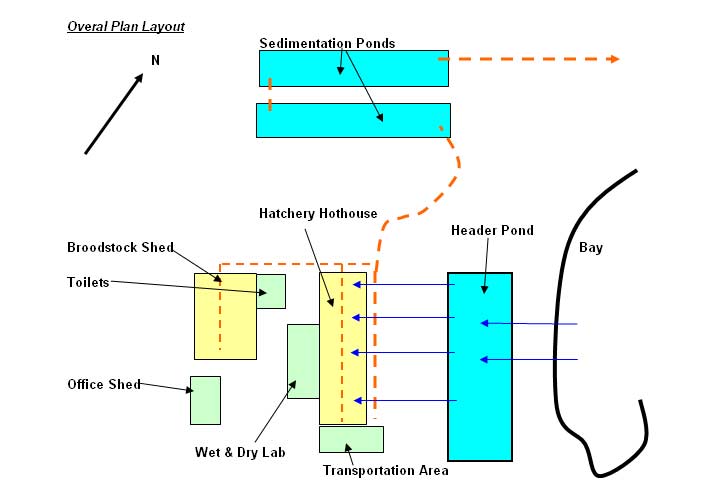 hatchery plan
