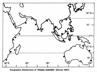 P. monodon distribution map